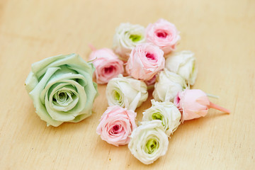 roses on a wooden background