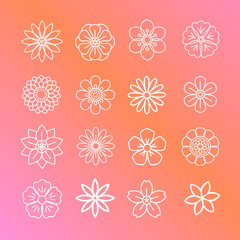 Floral pattern and icons