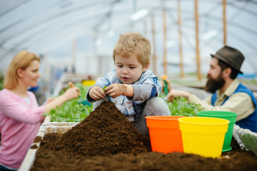 little biologist. little biologist work with soil. little biologist in greenhouse. little biologist child planting flowers.