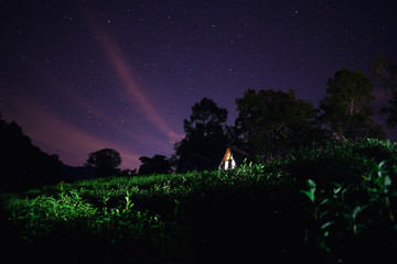 Obraz na płótnie Canvas Green tea plantation under the star sky with wooden cottage.