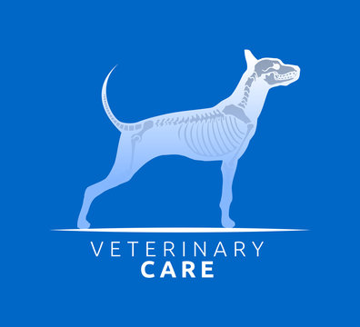 Veterinary Care Emblem Design, Bone Scan Dog Care vector illustration