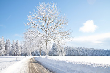 Winterlandschaft