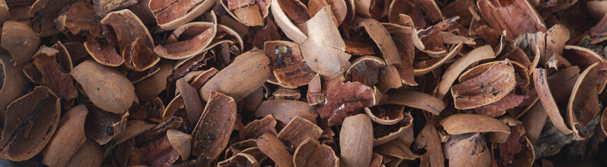 Pile of broken pecan shells. Can be used for smoking meat, kindling or mulch.
