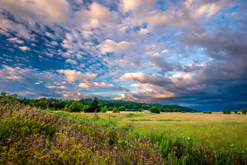Fototapeta na wymiar Landscape of summer field with high green grass and fabulous fancy clouds in Columbia Gorge National Reserve