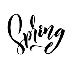 Spring. Trendy script lettering design Spring. - Vector