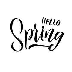 Fototapeta na wymiar Spring. Trendy script lettering design Hello Spring. - Vector
