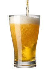 ビール 白バック