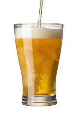 ビール 白バック