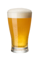 ビール 白バック