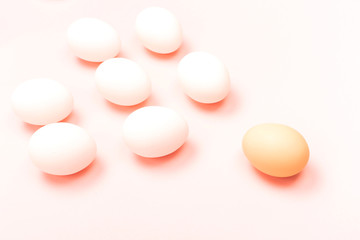 Many white eggs and one orange