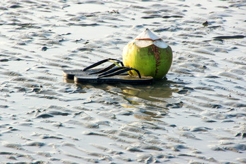 Rubber flip-flops and coconut palm fruit on the sand on a tropical beach at low tide.