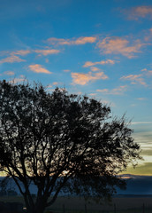 Atardecer