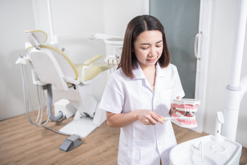 Woman dentist practicing work on tooth model 