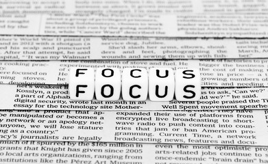 Fototapeta premium In the focus