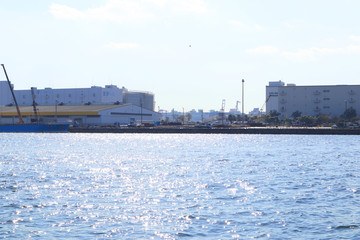 Fototapeta premium Viewing Tokyo Bay