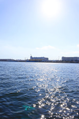 Viewing Tokyo Bay