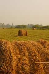 bales of hay in field