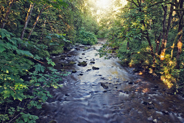 Nature Scene with Idyllic River