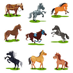Flat vector set of horses in various poses. Hoofed animals isolated. Mammal creatures on green grass