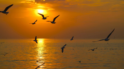 Many seagulls fly in the sky above the sea during the sunset.