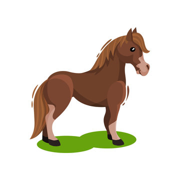 Brown horse standing on green grass, side view. Hoofed animal with beautiful mane and long tail. Flat vector design
