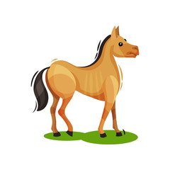 Flat vector design of brown horse standing on green grass, side view. Hoofed mammal animal. Wildlife theme