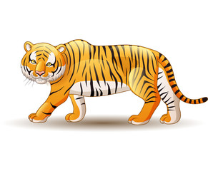 Illustration of tiger isolated on white background