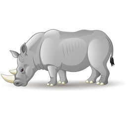 Cartoon African rhinoceros isolated on white background