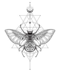 Hand drawn vector esoteric symbol, bug with sacred geometry.