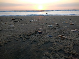 Beach sunset