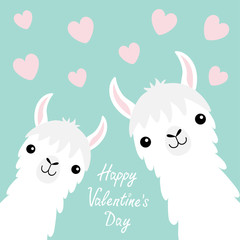 Happy Valentines Day. Llama alpaca animal set. Face neck. Pink flying heart. Cute cartoon funny kawaii baby character. Fluffy hair fur. Love greeting card. Flat design. Blue background © worldofvector