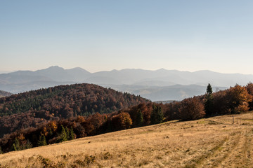 Hala na Malej Raczy in Beskid Zywiecki mountains with hills of Mala Fatra mountains on the background during autumn