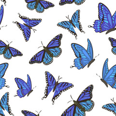 Seamless pattern with butterflies