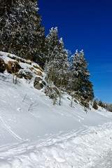 Winter landscape of Vitosha Mountain, Sofia City Region, Bulgaria