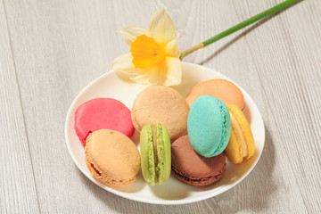 Sweet macarons cakes of different color on plate with yellow daffodil flower on wooden boards.