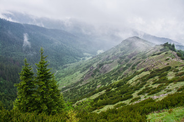 Obraz premium Piękny górski krajobraz, Tatry, Polska