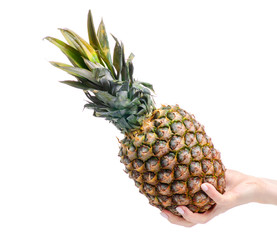 Pineapple sweet fruit in hand on a white background. Isolation