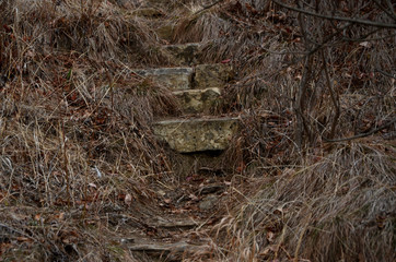 beautiful winter mountain landscape