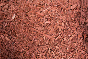 Decorative natural bark covering garden soil