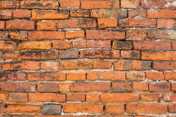 Old Brick Wall Texture