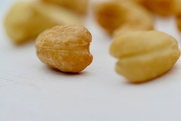 cashew nuts on white background