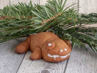 Christmas gingerbread in the form of frog
