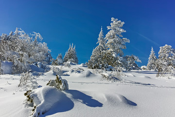 Winter landscape of Vitosha Mountain, Sofia City Region, Bulgaria