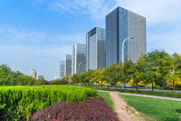 Fototapeta premium park pedestrian walkway and modern skyscrapers, dalian city, china..
