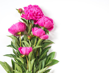 Bouquet of romantic pink peony flowers on white. Copy space. Top view.