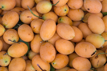 Plum Mango in the market.