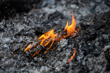 Fire