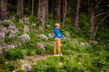 Naklejka premium Boy with glasses and blue wear with bouquet of wild flowers in the summer mountains. Flowers for mother and sister for the woman’s day.