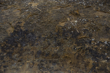 beautiful winter mountain landscape