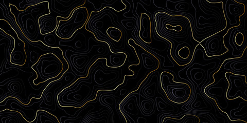 Abstract banner with golden topographic contour. Vector concept map design.
